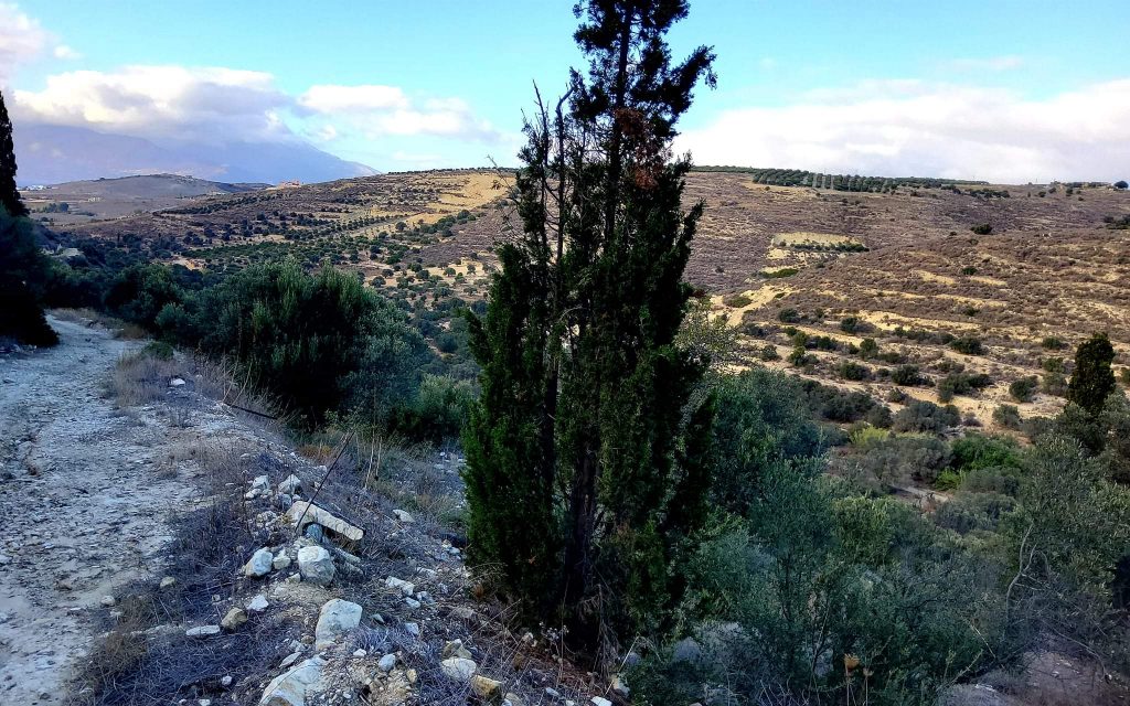 Big Plot for sale in Pitsidia South Crete