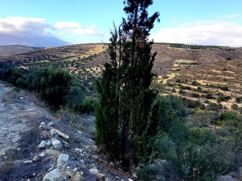 Big Plot for sale in Pitsidia South Crete