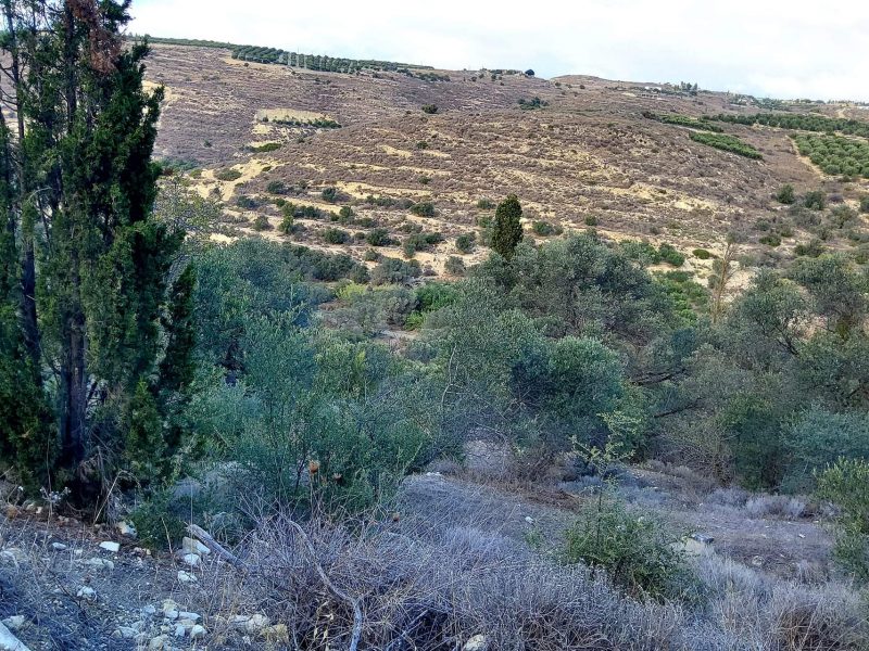 Big Plot for sale in Pitsidia South Crete