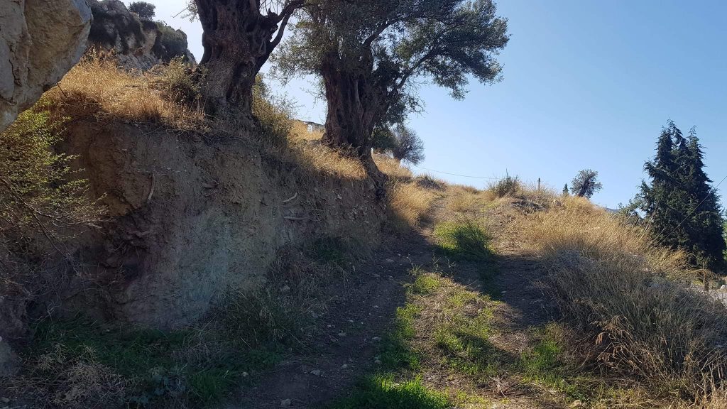 Big Plot for sale in Pitsidia South Crete