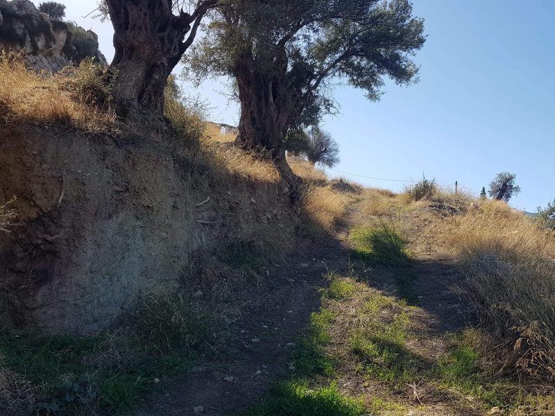 Big Plot for sale in Pitsidia South Crete