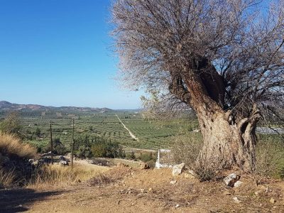 Building Plot for Sale in Peri South Crete