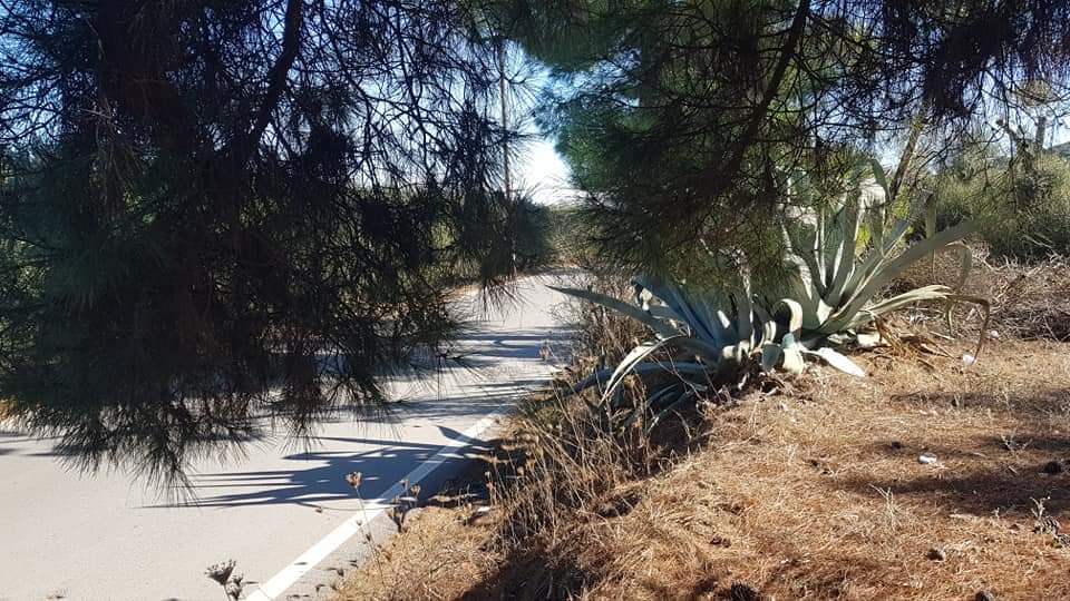 Big Plot for sale at Petrokefali South Crete