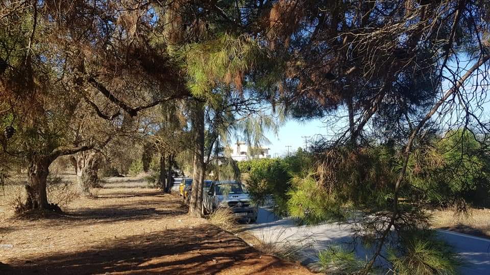 Big Plot for sale at Petrokefali South Crete