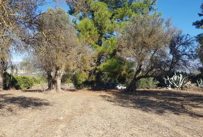 Big Plot for sale at Petrokefali South Crete