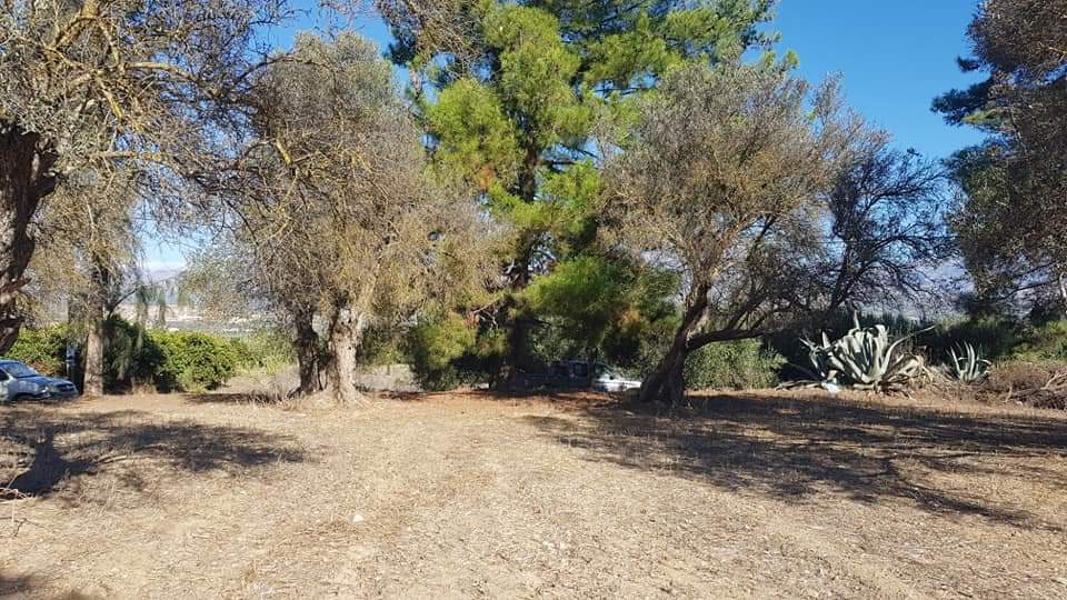 Big Plot for sale at Petrokefali South Crete
