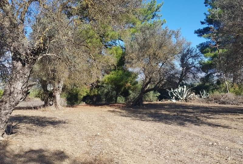 Big Plot for sale at Petrokefali South Crete