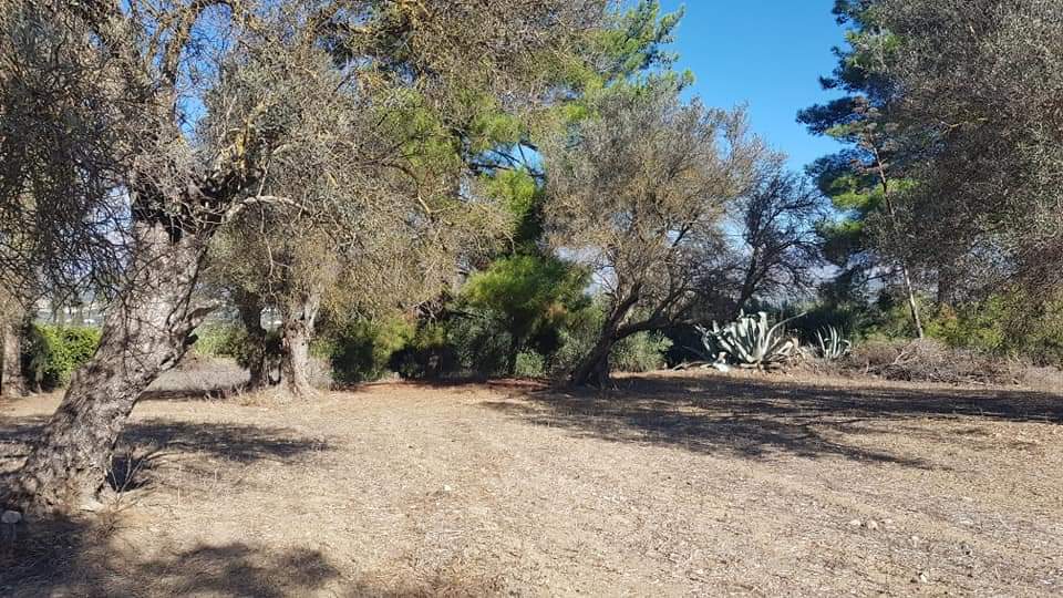 Big Plot for sale at Petrokefali South Crete