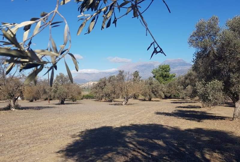 Big Plot for sale at Petrokefali South Crete