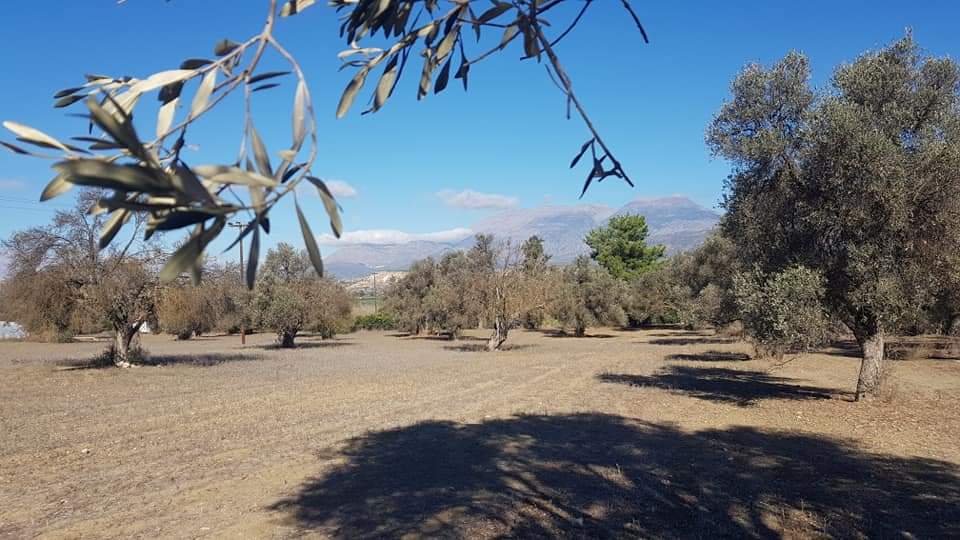 Big Plot for sale at Petrokefali South Crete