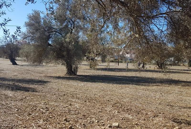 Big Plot for sale at Petrokefali South Crete