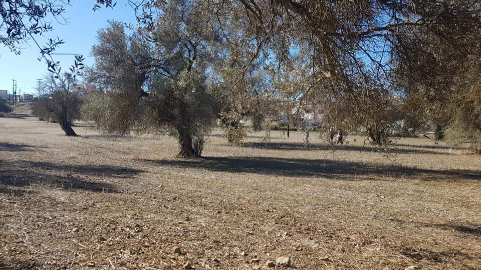 Big Plot for sale at Petrokefali South Crete