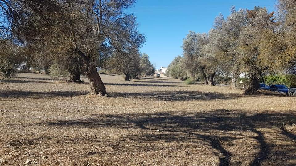Big Plot for sale at Petrokefali South Crete