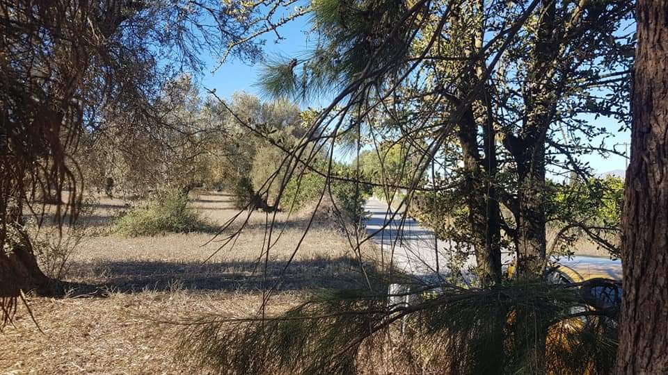 Big Plot for sale at Petrokefali South Crete