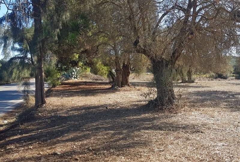 Big Plot for sale at Petrokefali South Crete