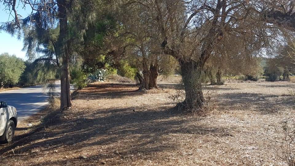 Big Plot for sale at Petrokefali South Crete