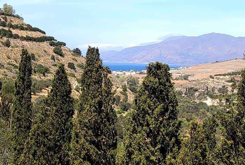 Big Plot for sale in Pitsidia South Crete