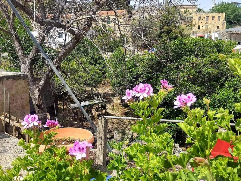 Old stone Cretan Mansion for sale in Plora South Crete