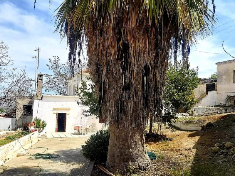 Old stone Cretan Mansion for sale in Plora South Crete