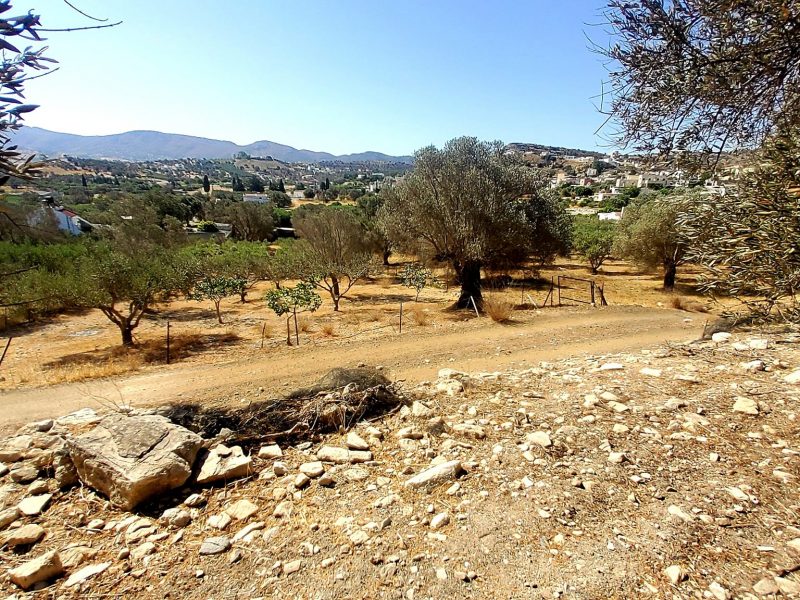 Plot for sale in Pitsidia No3