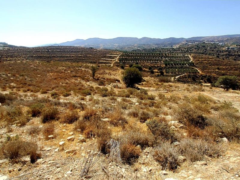 Plot for sale in Kamilari South Crete Nr4