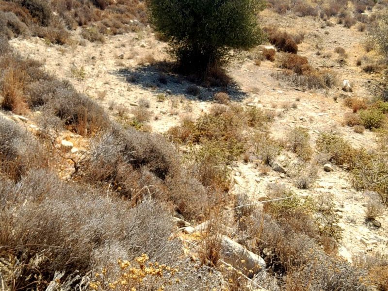 Plot for sale in Kamilari South Crete Nr4