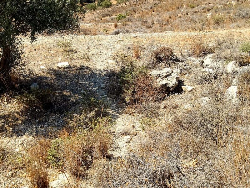 Plot for sale in Kamilari South Crete Nr4