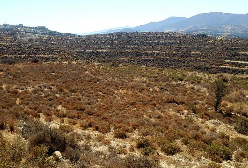 Plot for sale in Kamilari South Crete Nr4