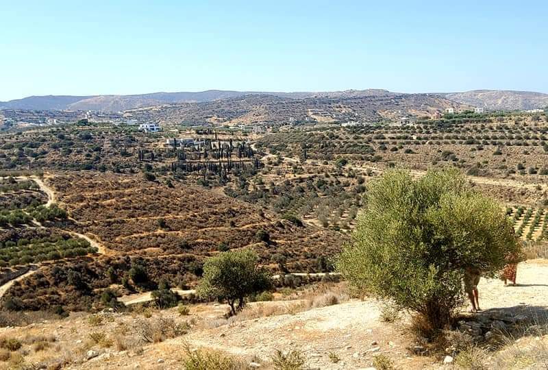 Plot for sale in Kamilari South Crete Nr4