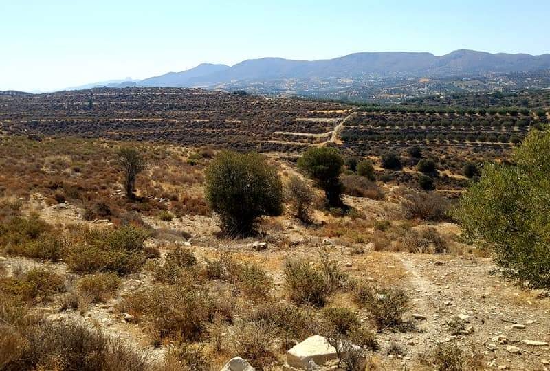 Plot for sale in Kamilari South Crete Nr4