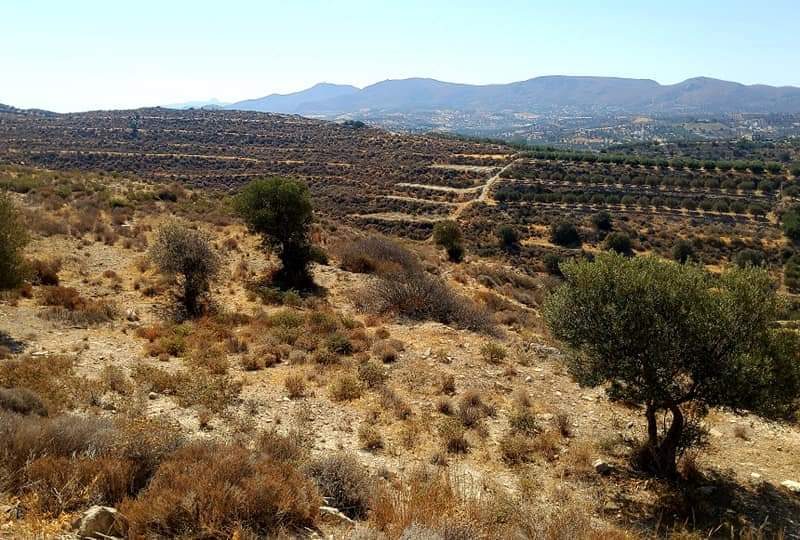 Plot for sale in Kamilari South Crete Nr4