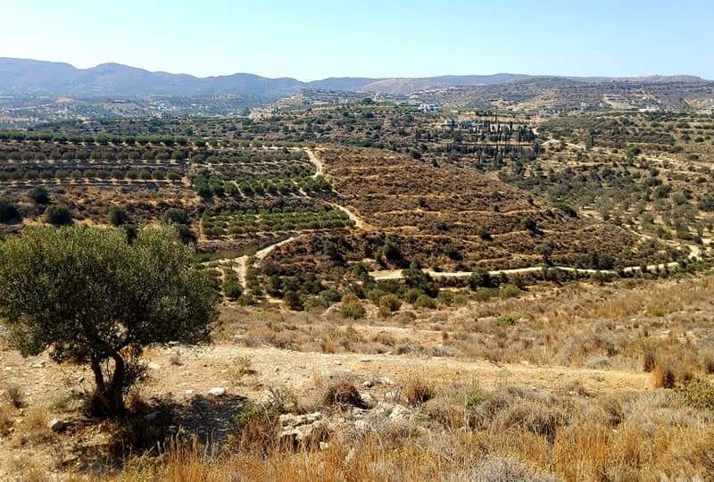 Plot for sale in Kamilari South Crete Nr4