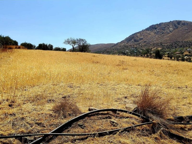 Plot for sale in Listaros South Crete with mountain view