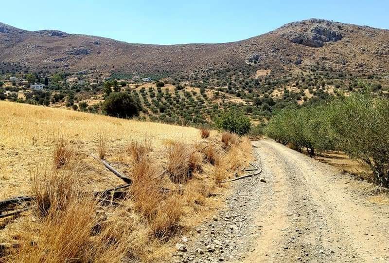 Plot for sale in Listaros South Crete with mountain view