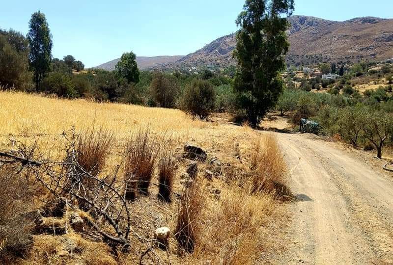 Plot for sale in Listaros South Crete with mountain view