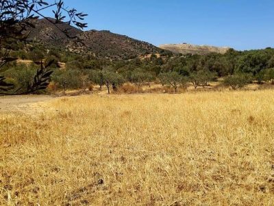 Plot for sale in Listaros South Crete with mountain view