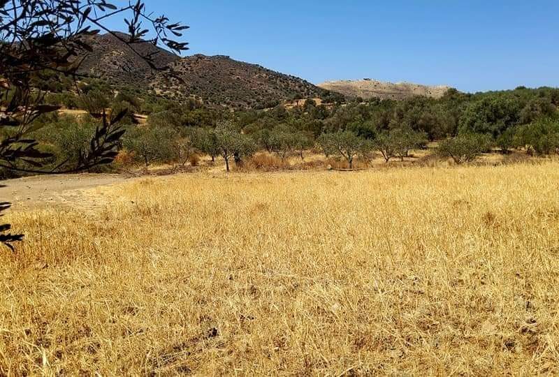 Plot for sale in Listaros South Crete with mountain view