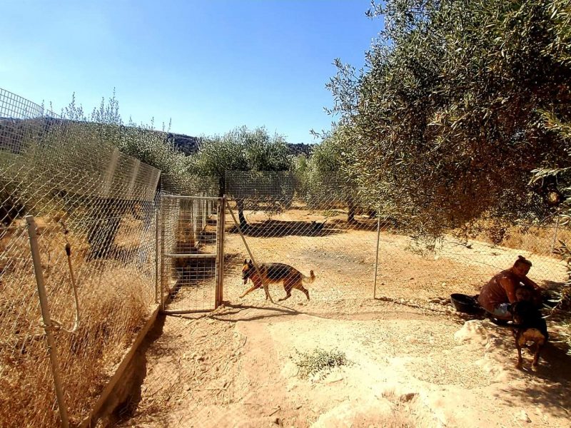 Farm with House for sale in Vori South Crete