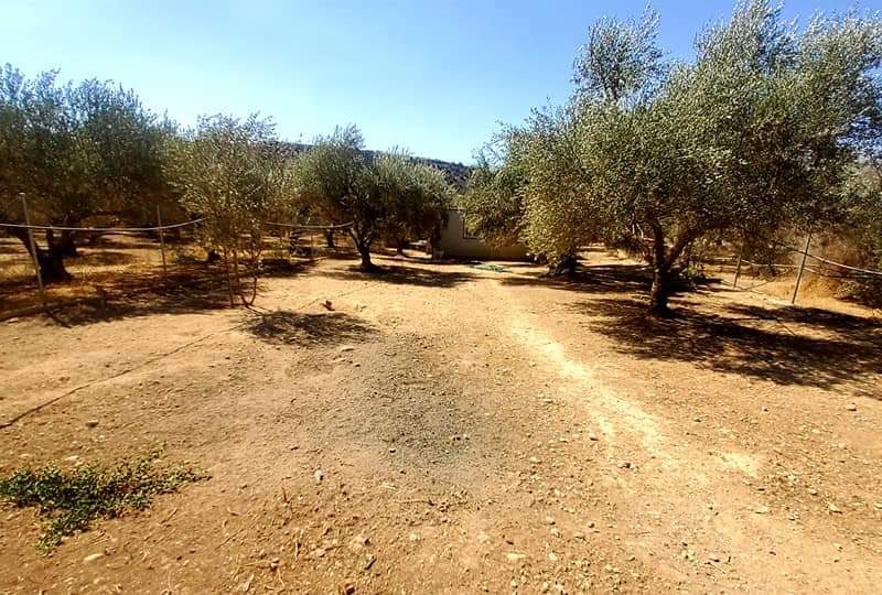 Farm with House for sale in Vori South Crete