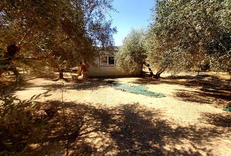 Farm with House for sale in Vori South Crete