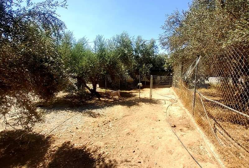 Farm with House for sale in Vori South Crete