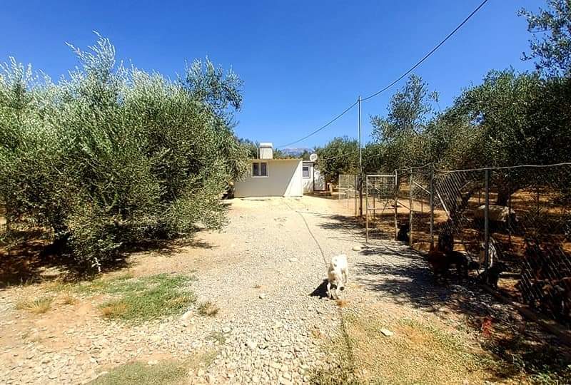 Farm with House for sale in Vori South Crete