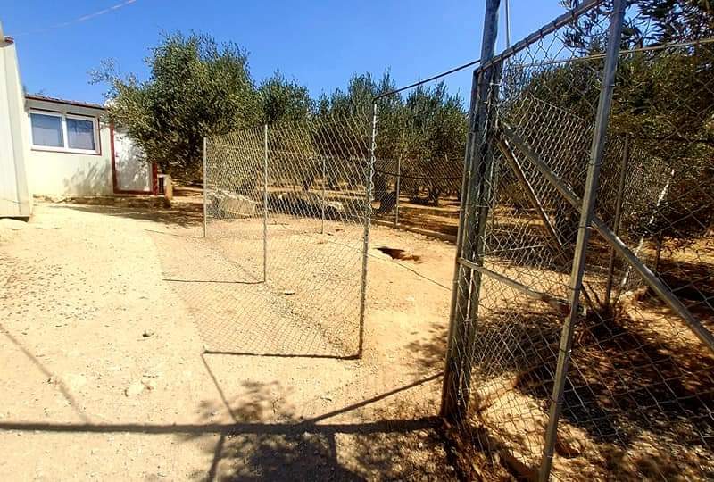 Farm with House for sale in Vori South Crete