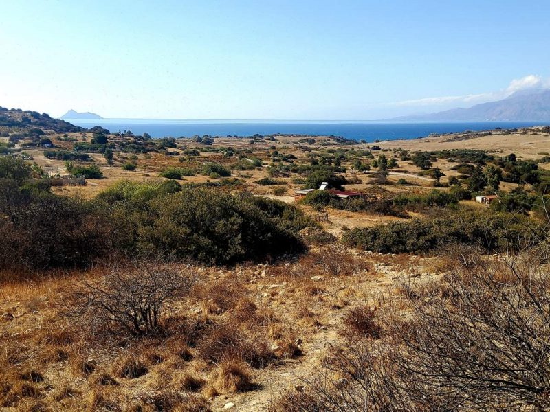 Small Plot for sale just outside Pitsidia South Crete