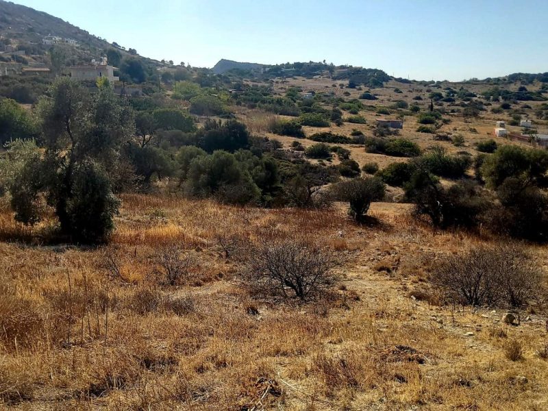 Small Plot for sale just outside Pitsidia South Crete