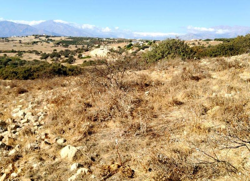 Small Plot for sale just outside Pitsidia South Crete