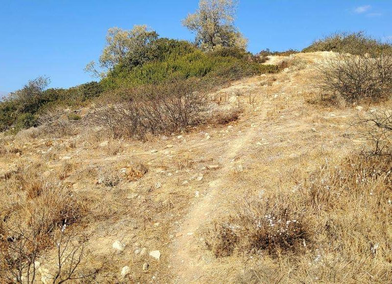 Small Plot for sale just outside Pitsidia South Crete