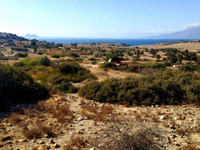 Small Plot for sale just outside Pitsidia South Crete