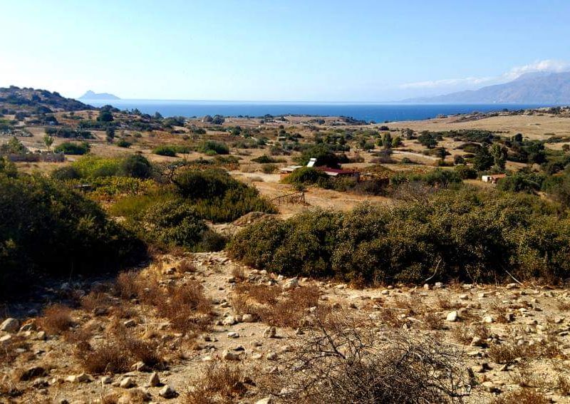 Small Plot for sale just outside Pitsidia South Crete