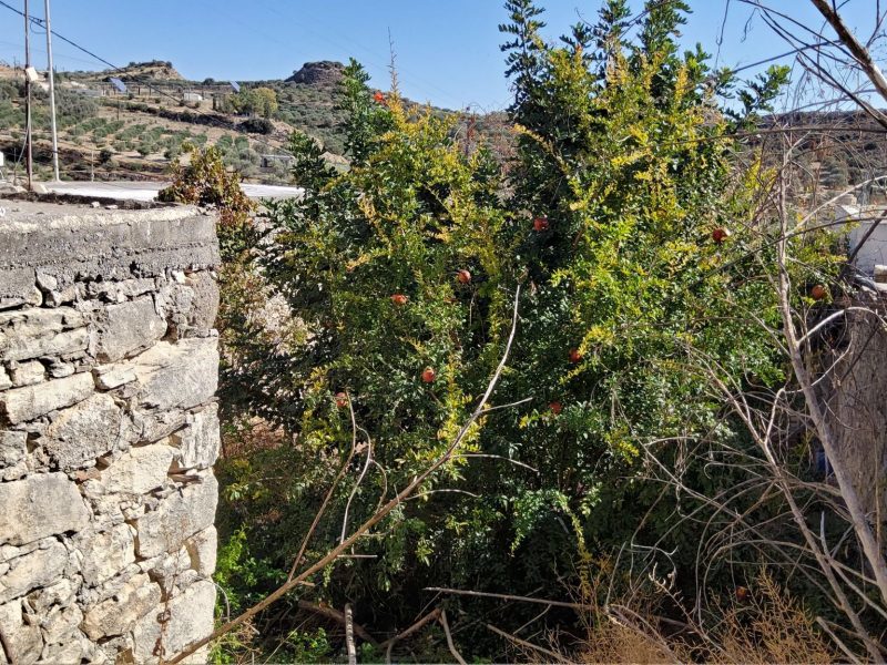 Big Stone 2 stores House for sale in Galia South Crete